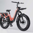 Réservez Fat Bike Électrique HORIZON ST 1600 Édition Bafang