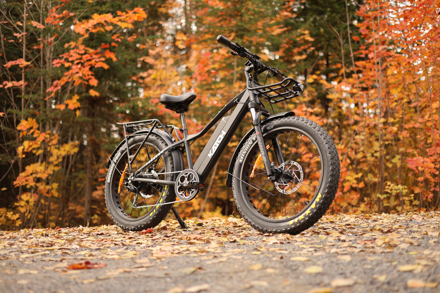 Electric Fat Bike FREEDOM 1200 Bafang Edition (Testing Product) - katchfatbike