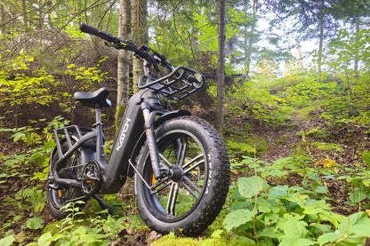 Réservez votre Fat Bike Électrique EXPLORER 1200 à cadre bas - katchfatbike