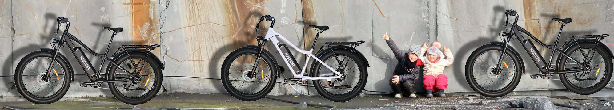 Contrôleur électronique 48v pour vélo électrique 500W – katchfatbike