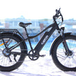 zFat Bike Électrique FREEDOM 980 Noir